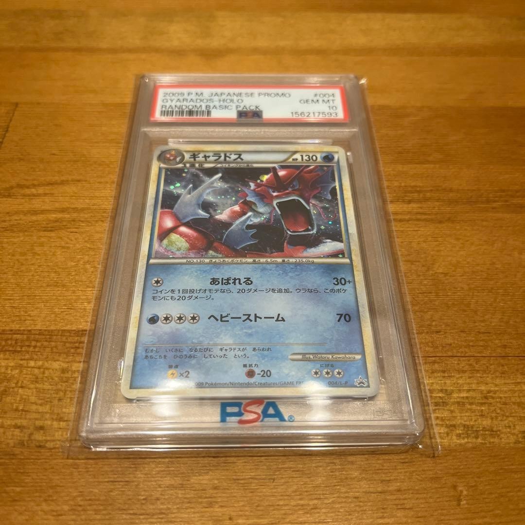 2009 Pokemon Japanese Promo Gyarados-Holo Random Basic Pack 004