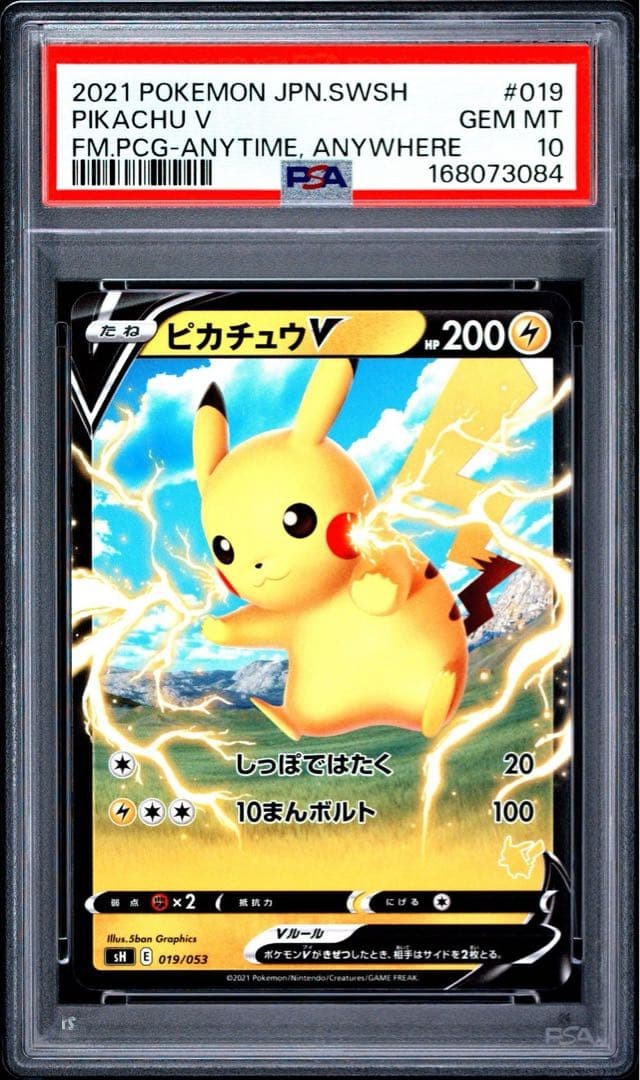 2021 Pokemon Japanese Sword & Shield Family Pokemon Card Game Pikachu V Anytime, Anywhere 019