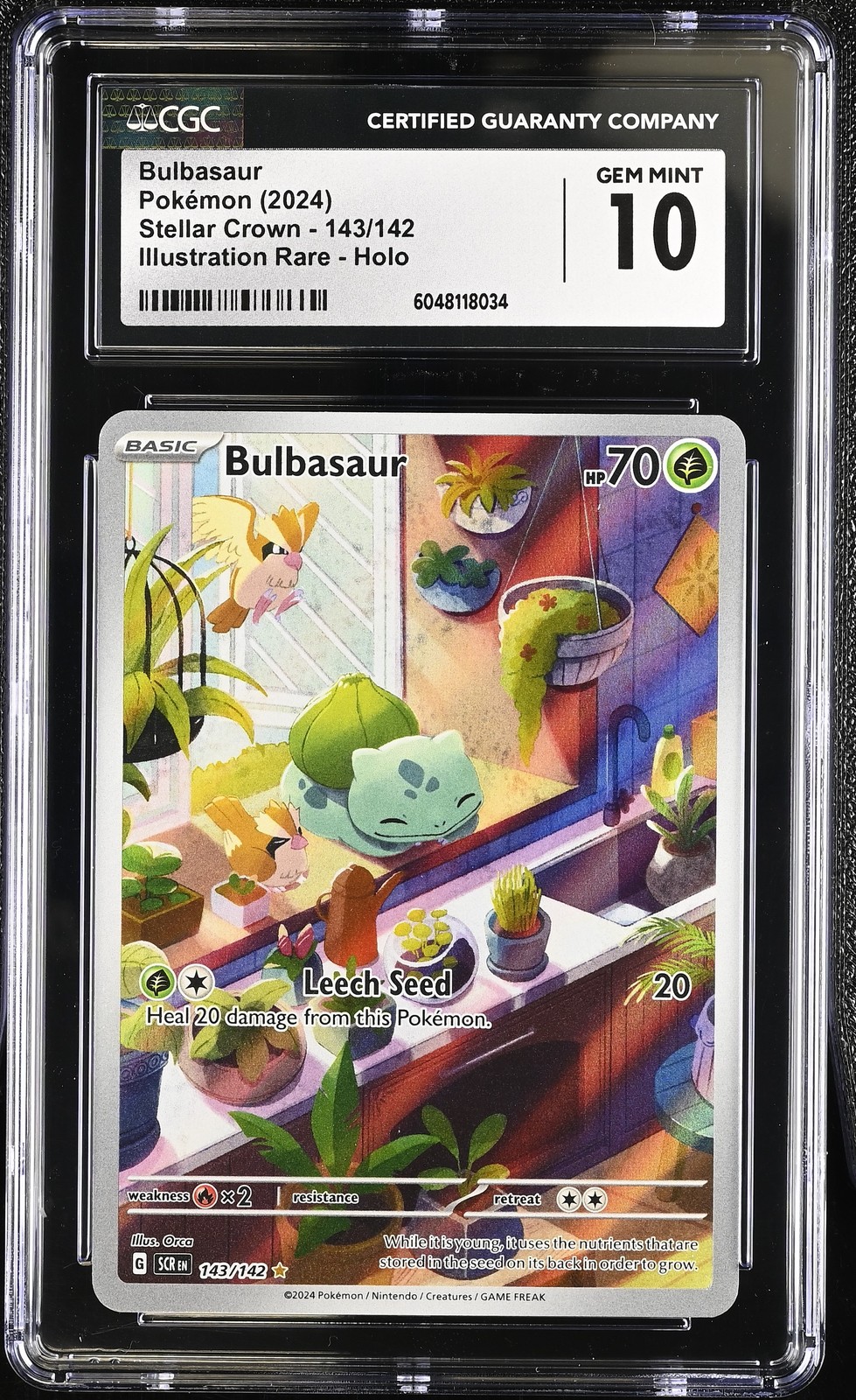 2024 Stellar Crown - SCR EN - English Bulbasaur Illustration Rare Holo 143/142